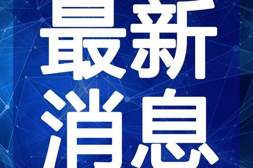岳飞最新爆料新闻视频,揭秘历史真相，还原民族英雄真实形象  第3张