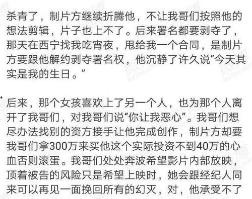 娱乐圈爆料王玉雯,娱乐圈爆料王，揭秘明星幕后故事  第2张