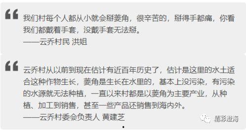 如何爆料今日视线新闻,独家爆料直击热点事件  第2张
