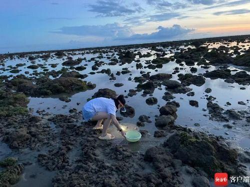 户外赶海爆料视频,揭秘海滩宝藏的户外探险之旅 第2张 户外赶海爆料视频,揭秘海滩宝藏的户外探险之旅 第2张