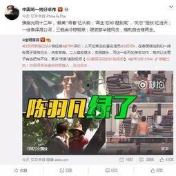 卓伟爆料的小视频,小视频揭露娱乐圈惊人内幕  第3张